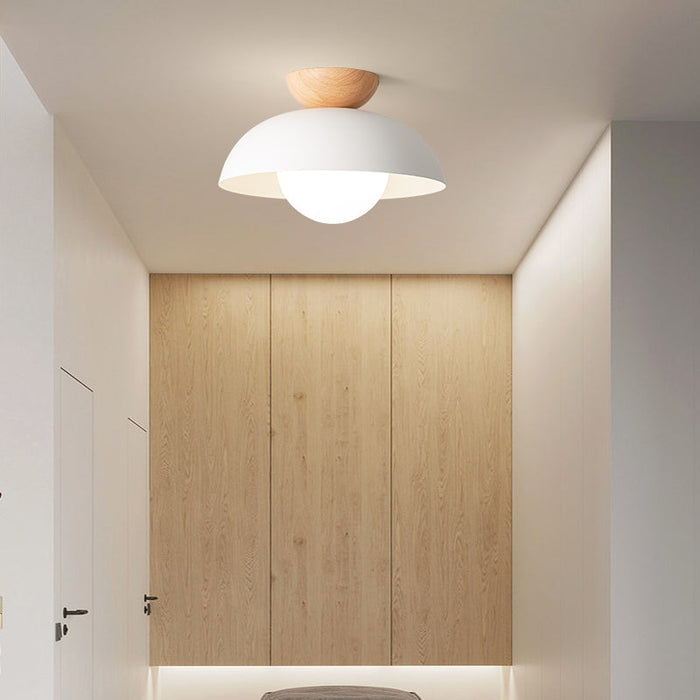 Maliben | Minimalist Nordic Led Ceiling Light