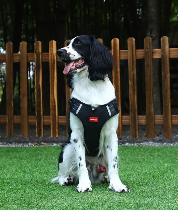 Maliben | anti-pull dog harness for pain-free walks