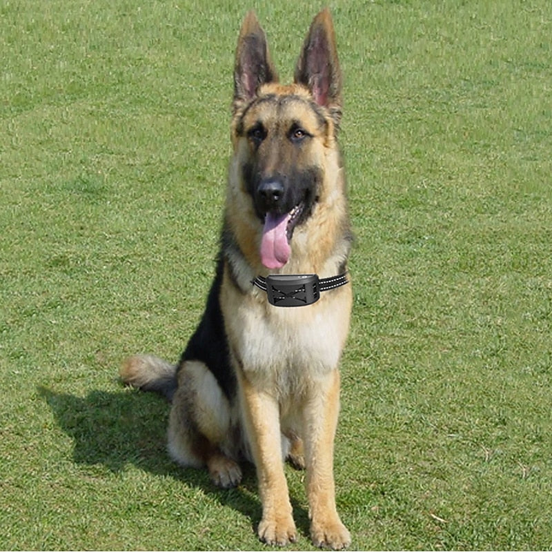 Maliben Wireless Dog Fence System with Adjustable Waterproof Collar – Up to 240...
