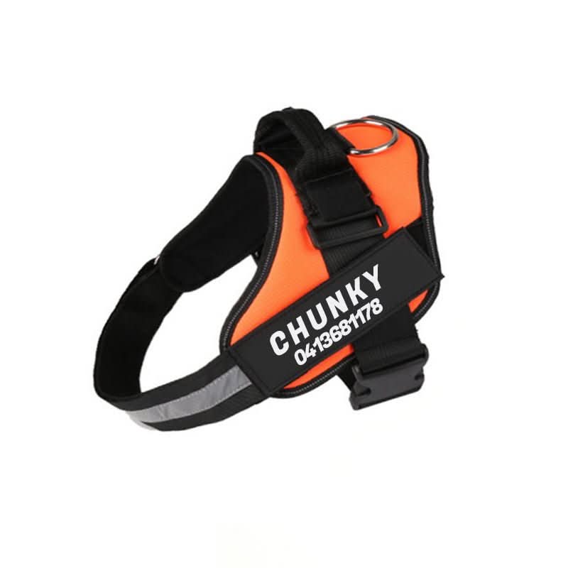 Maliben | Personalisable dog harness for comfort & safety