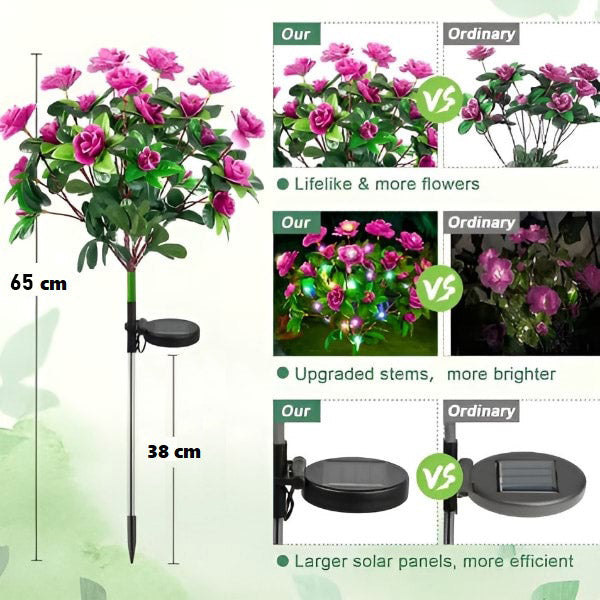 Maliben | Flowerlume – Flowers That Glow In The Dark