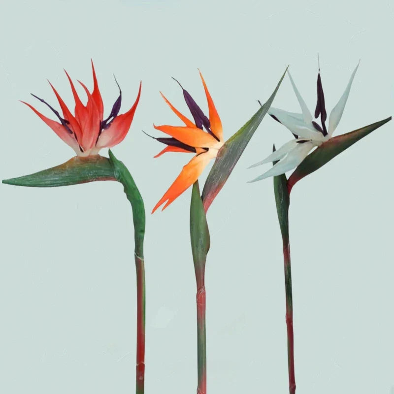 Maliben | Floriva 3 Piece Set Artificial Strelitzias | Bird Of Paradise Flowers | 24.5 Cm Long Stems | Decoration For Home, Office & Events