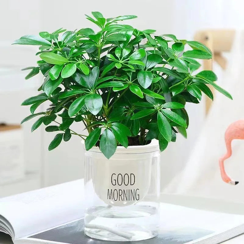 Maliben | Artificial Plant Everleaf 33 | 33 Cm | With Stem & Leaves | Low-Maintenance Decor For Home & Office