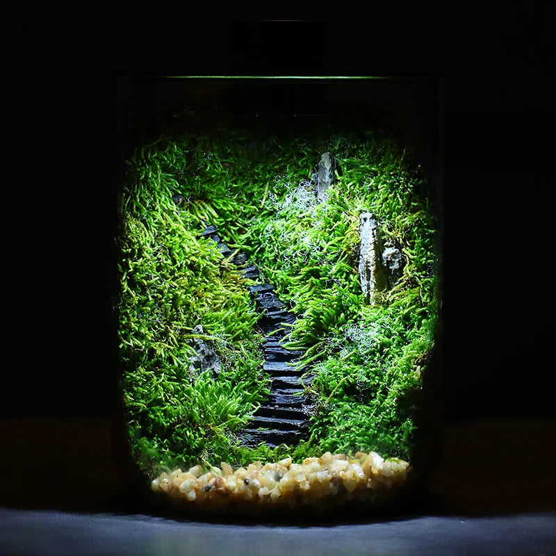 Maliben | Mini Forest Maker Terrarium Decor Vase