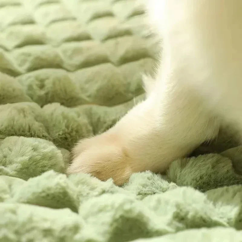 Maliben | Pawsomnia Orthopedic Dog Bed | Removable Cover & Washable | Memory Foam | For Dogs & Cats