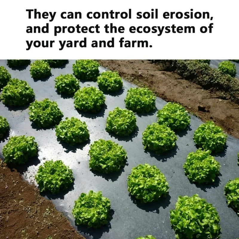 Maliben | Agroshield Weed Fabric | Black Mulch Film | Plant Protection & Yield Increase | Ideal For Greenhouses