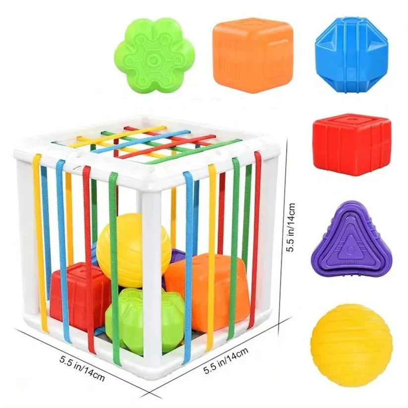 Maliben | Montessori Shapebox – Sorting And Motor Skills Game