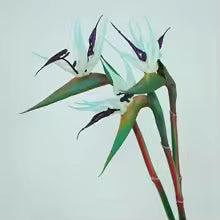 Maliben | Floriva 3 Piece Set Artificial Strelitzias | Bird Of Paradise Flowers | 24.5 Cm Long Stems | Decoration For Home, Office & Events