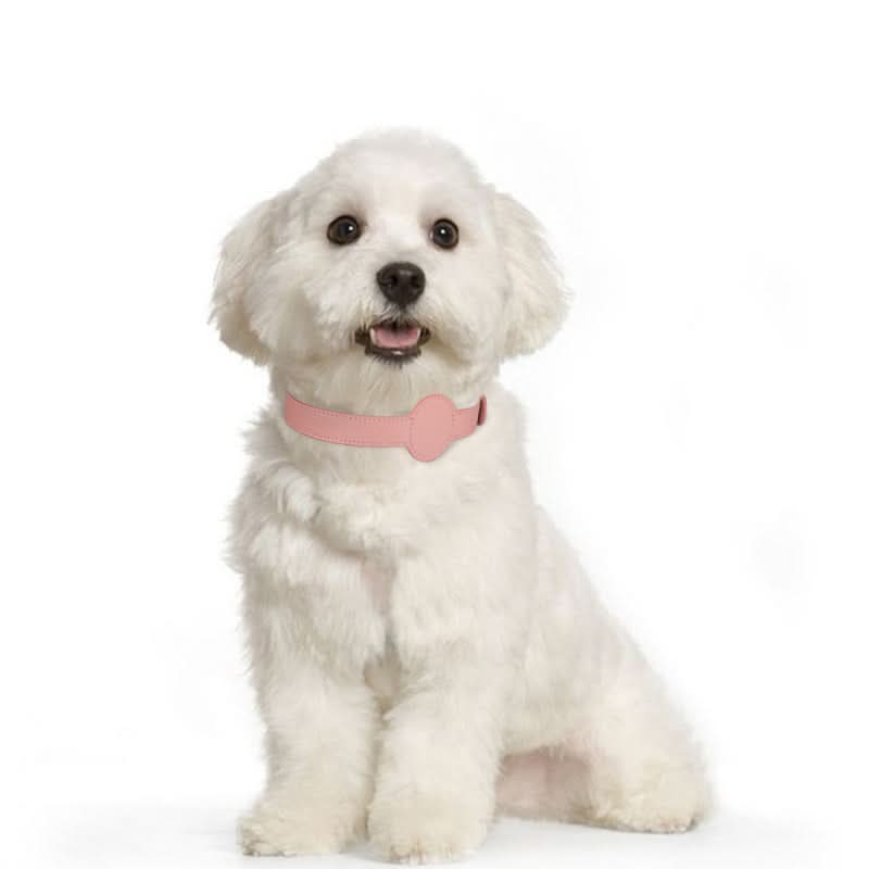 Maliben | Dog Collar with Integrated AirTag Holder for Safety & Style