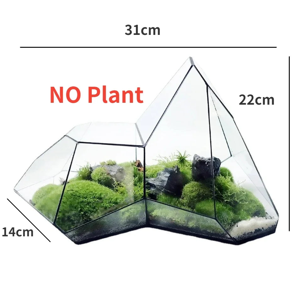 Maliben | Geometric Glass Moss Planter Terrarium Vase