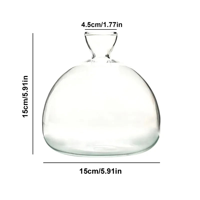 Maliben | Avocado Vase Glass | Transparent Germination Glass | Plant Container For Avocado Cultivation | 10–15 Cm