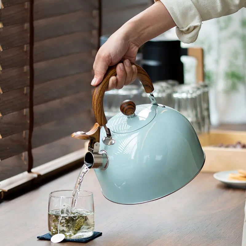 Maliben | 1 piece 2.5/3 l liter kettle made of stainless steel, thickened kettle, gas induction stove, universal kettle, kettle