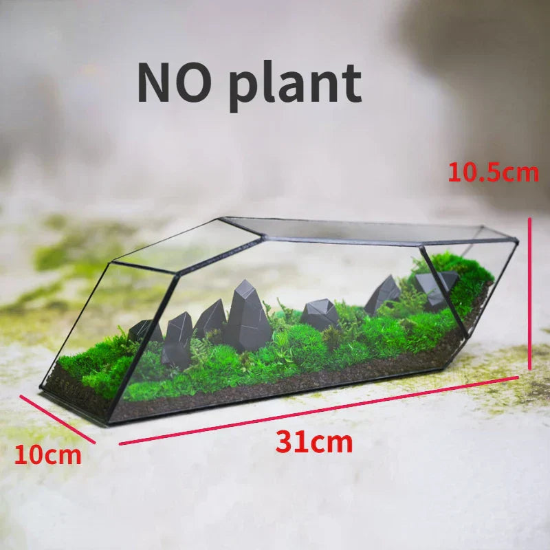 Maliben | Geometric Glass Moss Planter Terrarium Vase