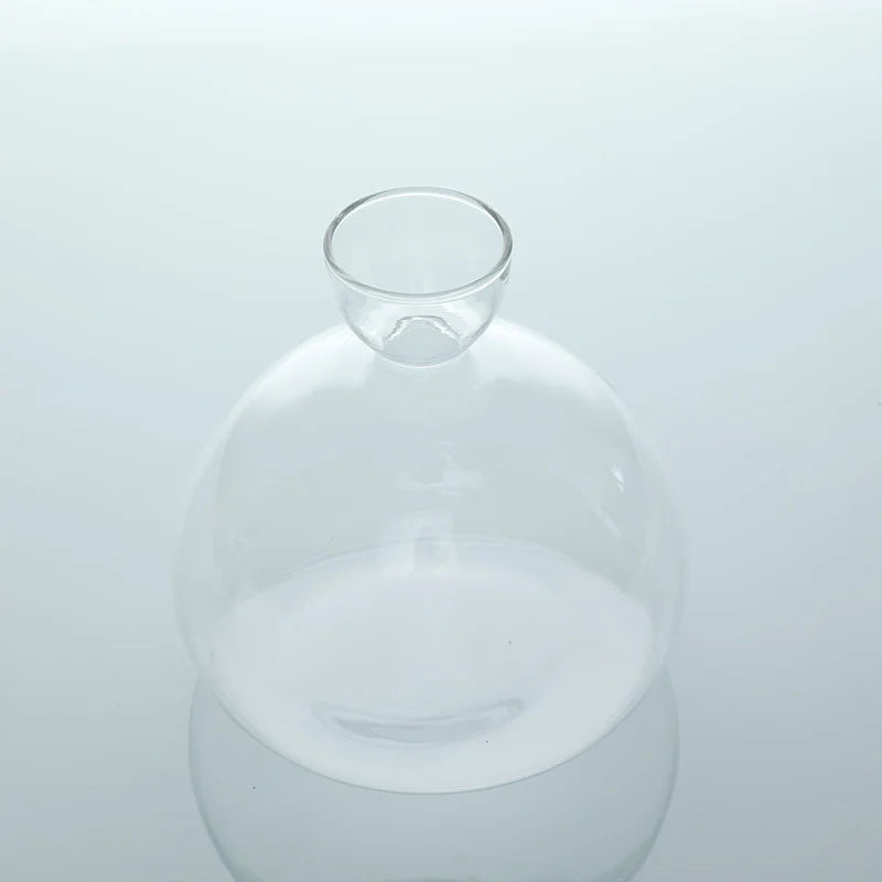 Maliben | Avocado Vase Glass | Transparent Germination Glass | Plant Container For Avocado Cultivation | 10–15 Cm