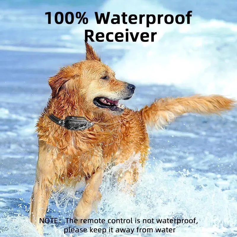 Maliben | ProTrain – Rechargeable Waterproof Dog Training Collar with Remote