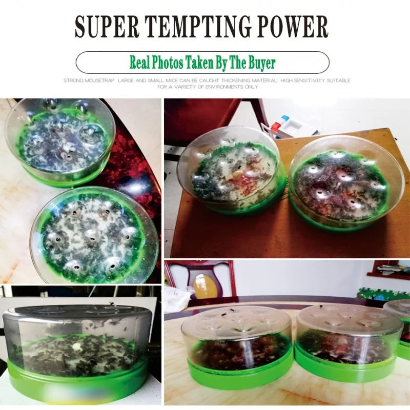 Maliben | Fly Trap Ecotrap 7 | Reusable & Non-Toxic | Without Electricity & Chemicals | With 7 Entrances For Effective Fly Control