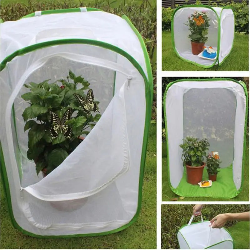 Maliben | Viventra Folding Insect Habitat | Breeding & Observation Net | Stainless Steel Frame | For Butterflies, Crickets & Silkworms