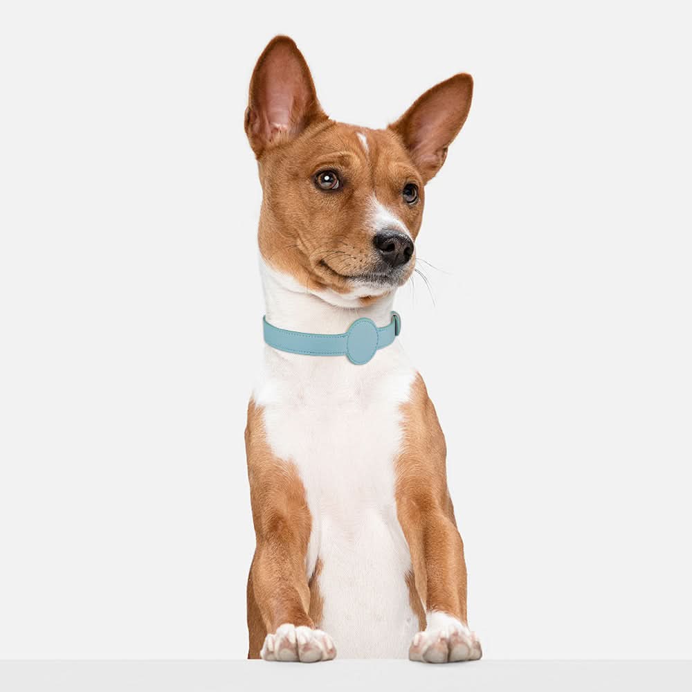 Maliben | Dog Collar with Integrated AirTag Holder for Safety & Style