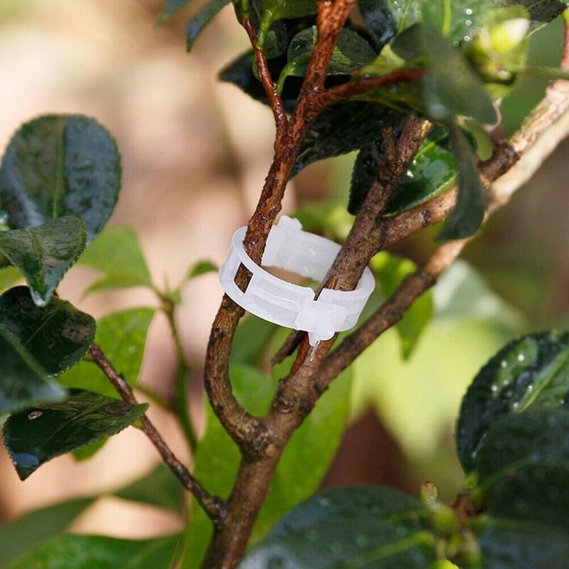 Maliben | Green Garden Safe Plant Support Clips