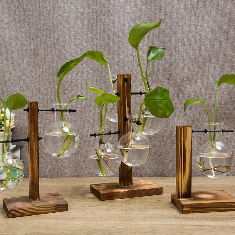 Maliben | Naturiva Design Glass Vase With Wooden Frame | For Cut Flowers & Hydroponics | Scandinavian Style | 3-Piece Set
