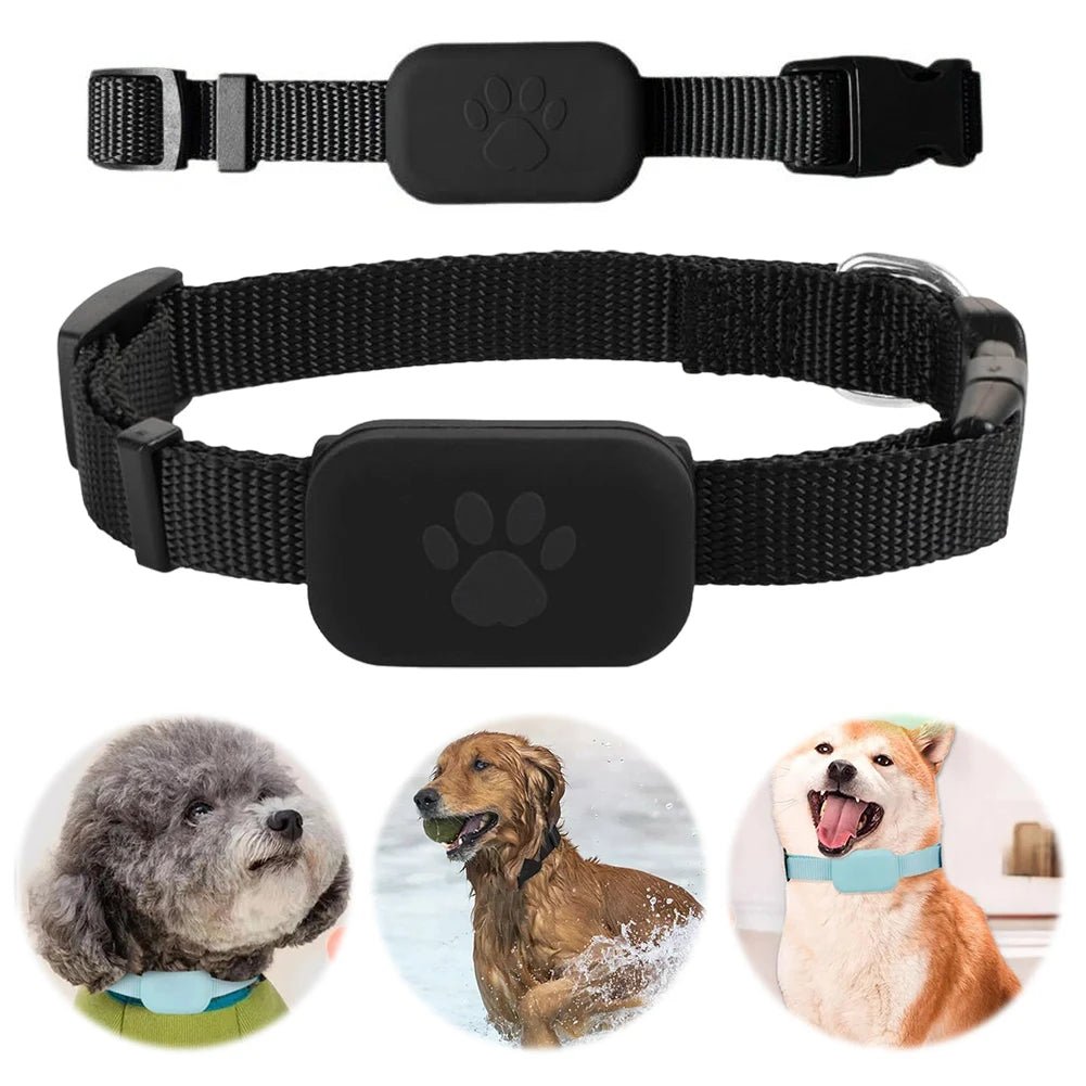 Maliben | Intelligent GPS Pet Tracker with Adjustable Collar for Dogs and Cats