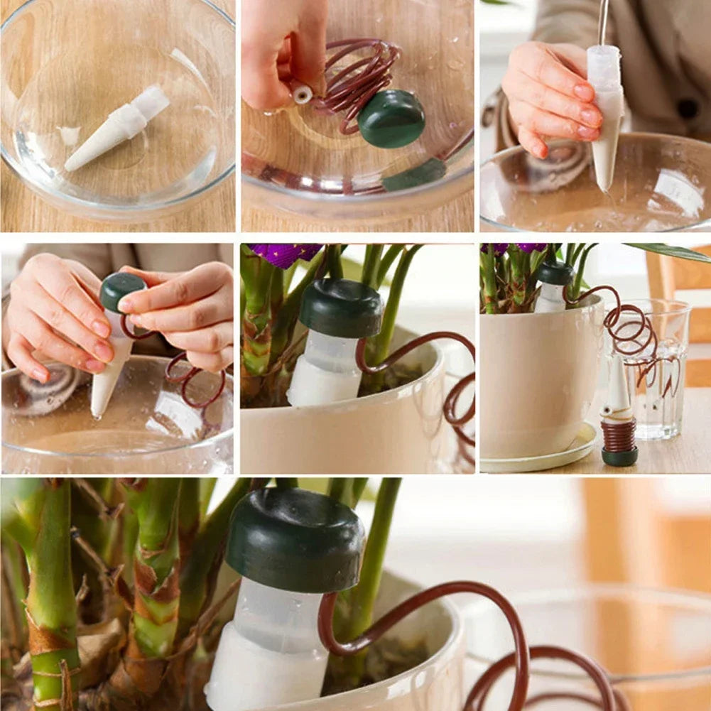 Maliben | Aquaterris Plant Irrigation System | 8-Piece Set | Self-Watering Ceramic Spikes | Automatic & For Indoor Use