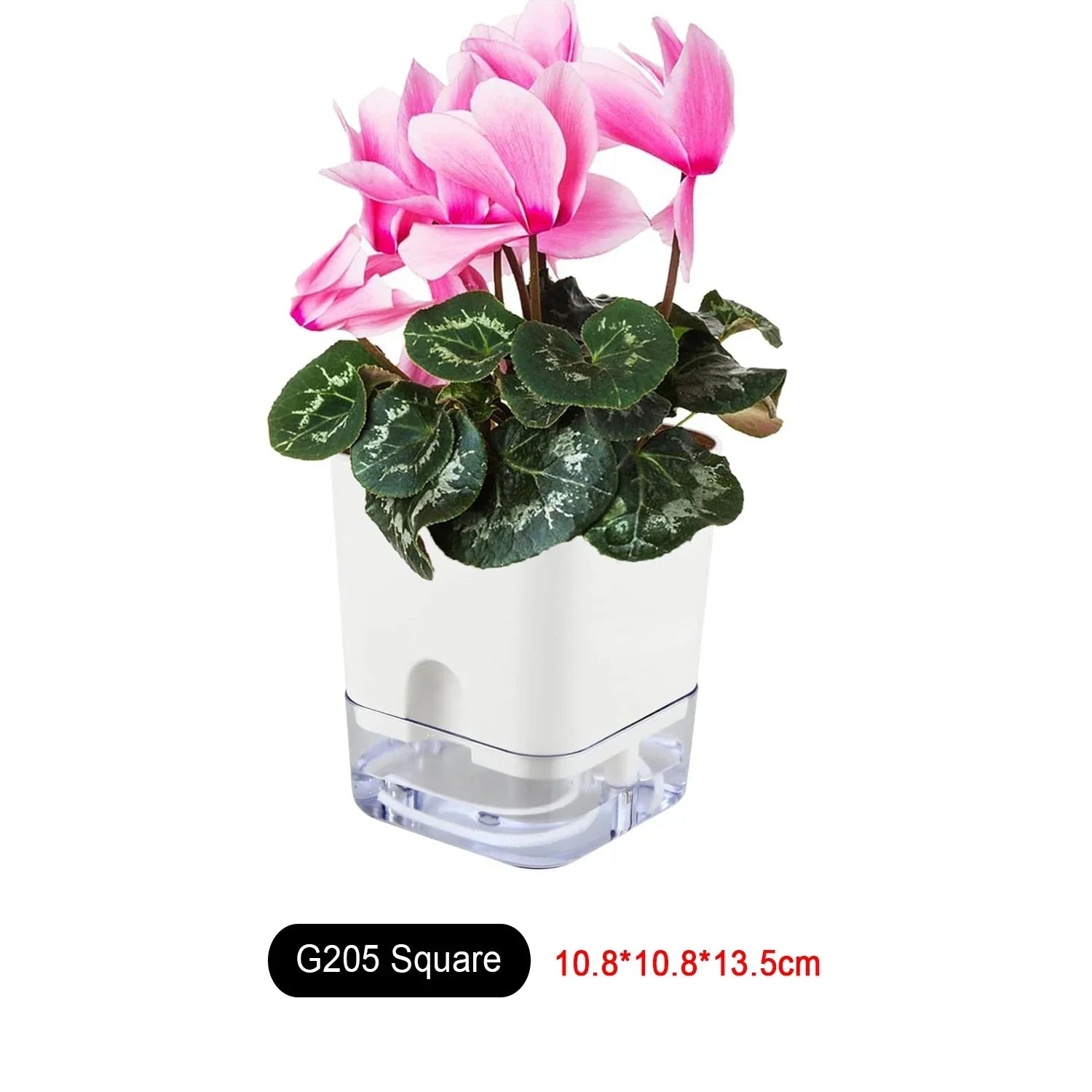 Maliben | Plant Pot Bloomease | Self-Watering & Space-Saving | With Water Level Indicator | For Indoor Plants & Herbs