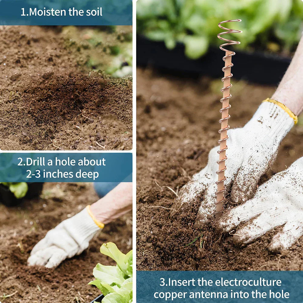 Maliben | Verdoraflux Electroculture Plant Antennas | Copper Growth Rods For Garden & Potted Plants | Promoting Plant Growth Without Fertilizer