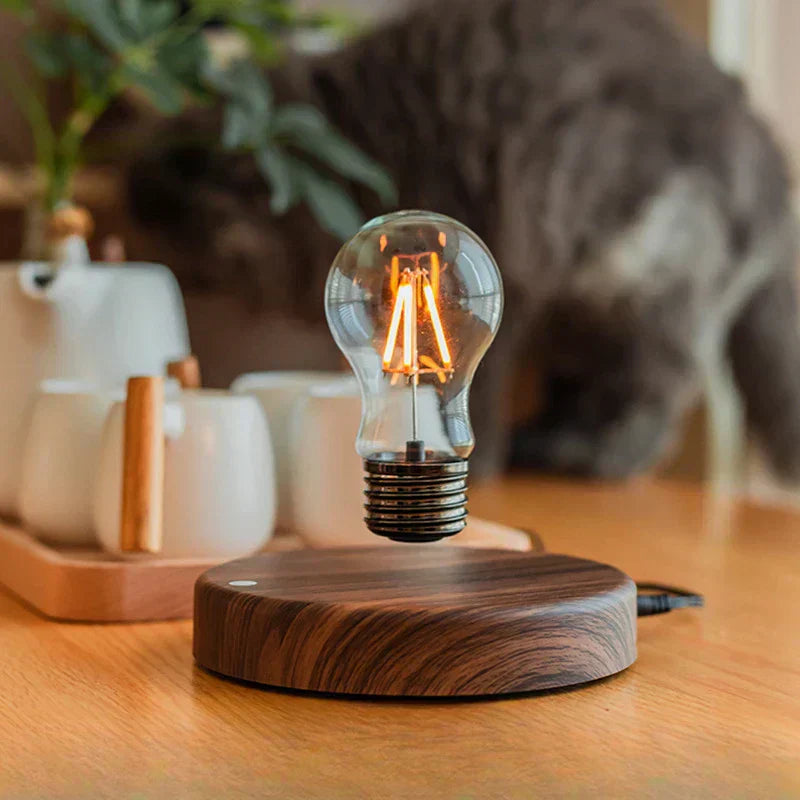 Maliben | 360 Degree Rotatable Magnetic Night Light With Levitation