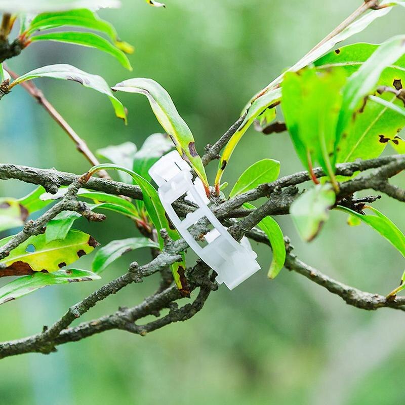 Maliben | Green Garden Safe Plant Support Clips