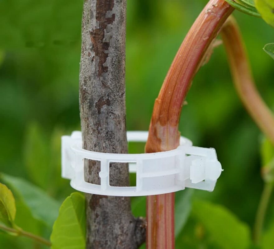 Maliben | Green Garden Safe Plant Support Clips