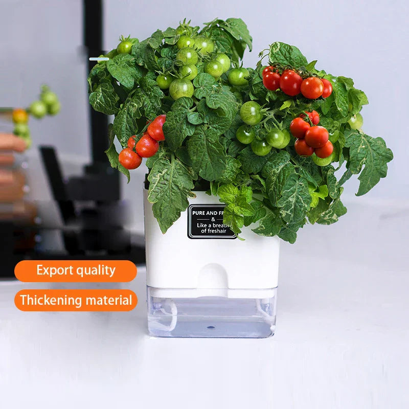 Maliben | Plant Pot Bloomease | Self-Watering & Space-Saving | With Water Level Indicator | For Indoor Plants & Herbs