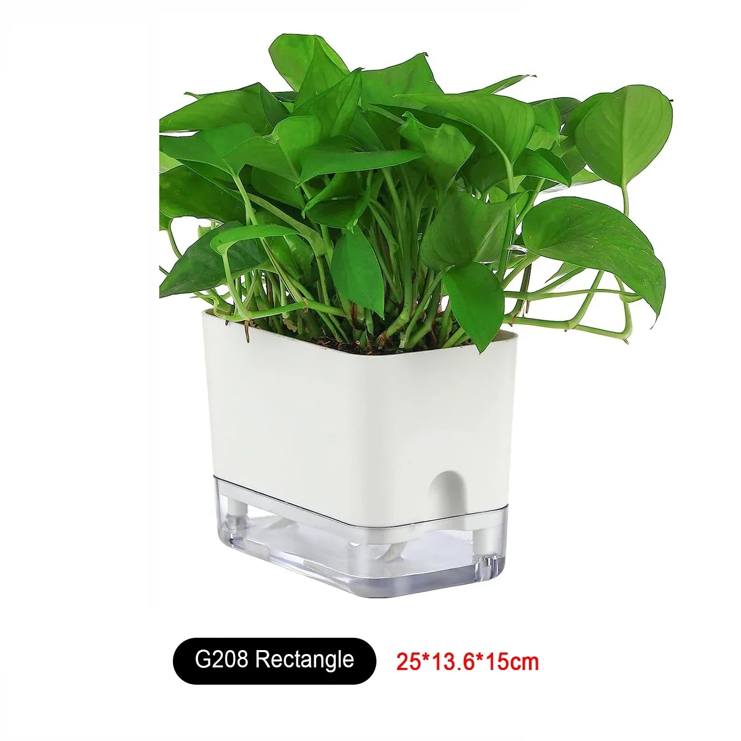 Maliben | Plant Pot Bloomease | Self-Watering & Space-Saving | With Water Level Indicator | For Indoor Plants & Herbs