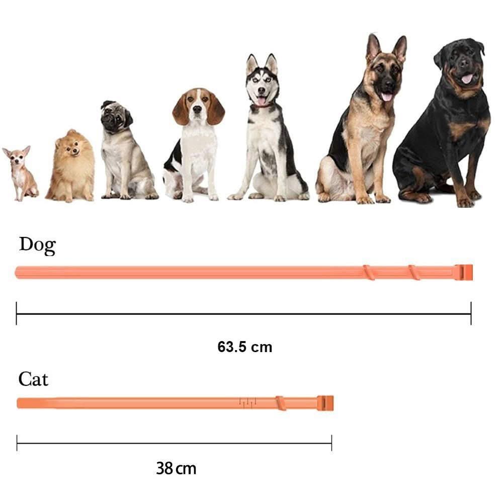 Maliben | Flea & Tick Protection Collar for Dogs & Cats