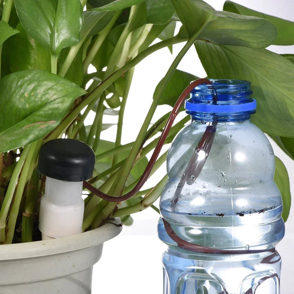 Maliben | Aquaterris Plant Irrigation System | 8-Piece Set | Self-Watering Ceramic Spikes | Automatic & For Indoor Use