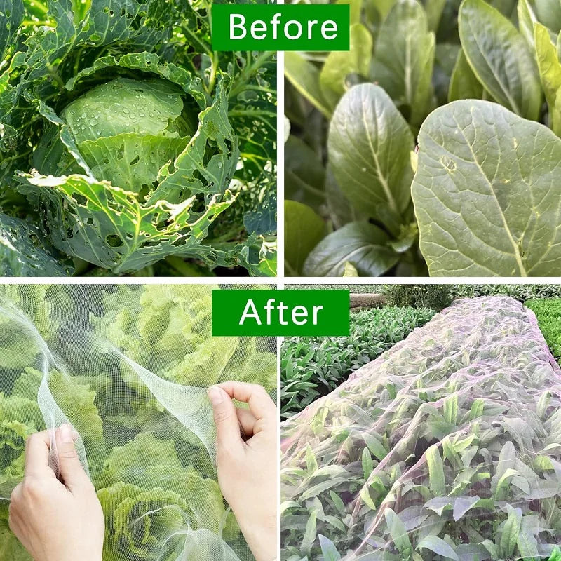 Maliben | Naturaviso Garden Net Insect Protection | Uv-Resistant & Tear-Resistant | Plant Protection Net Against Pests & Birds