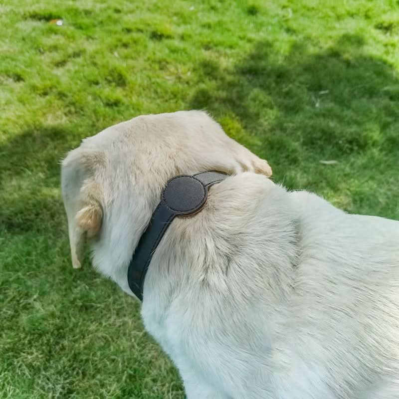 Maliben | Dog Collar with Integrated AirTag Holder for Safety & Style