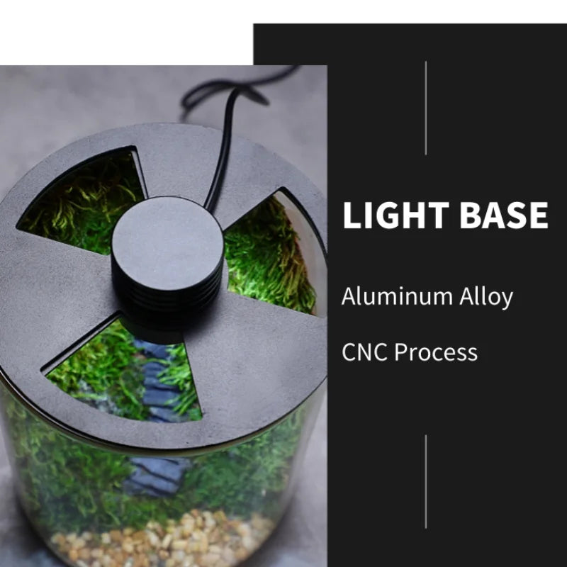 Maliben | Mini Forest Maker Terrarium Decor Vase