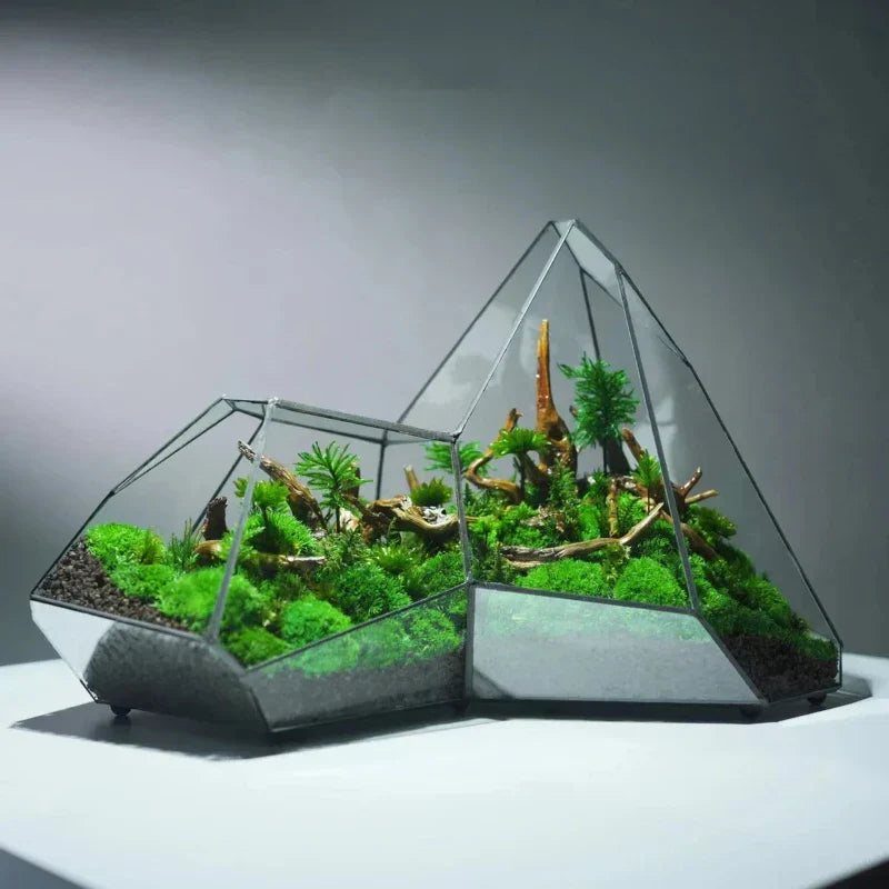 Maliben | Geometric Glass Moss Planter Terrarium Vase