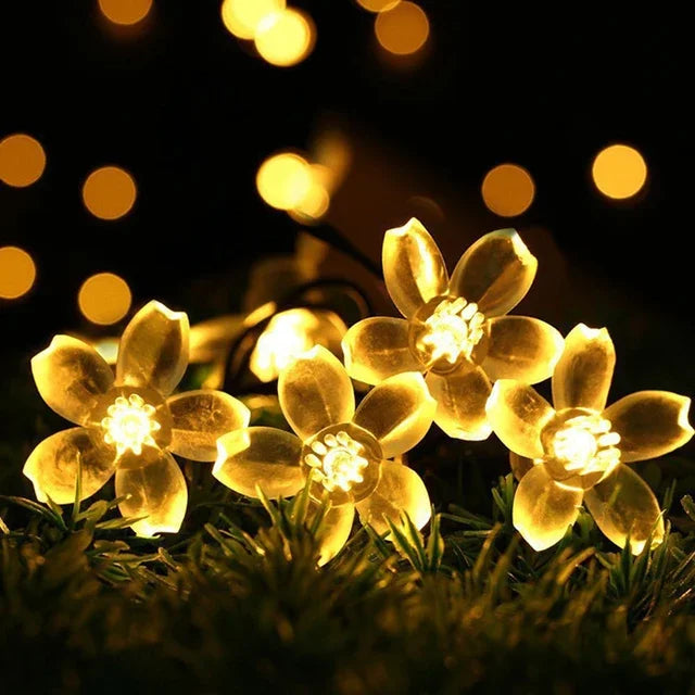 Maliben | Peach Blossom Fairy Lights