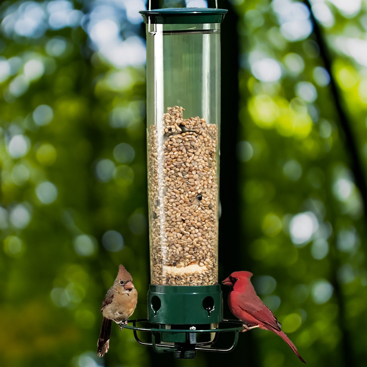 Maliben | Aviron Bird Feeder With Anti-Squirrel Protection | Spin Mechanism | 4 Feeding Openings | 2.27 Kg Capacity