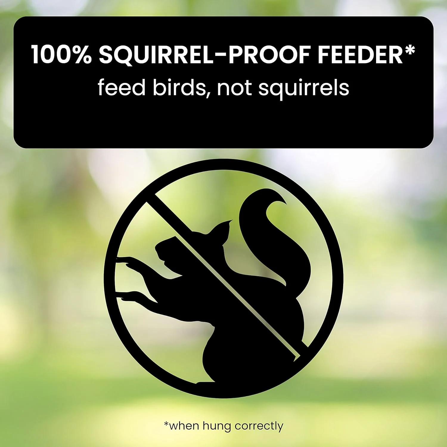 Maliben | Aviron Bird Feeder With Anti-Squirrel Protection | Spin Mechanism | 4 Feeding Openings | 2.27 Kg Capacity