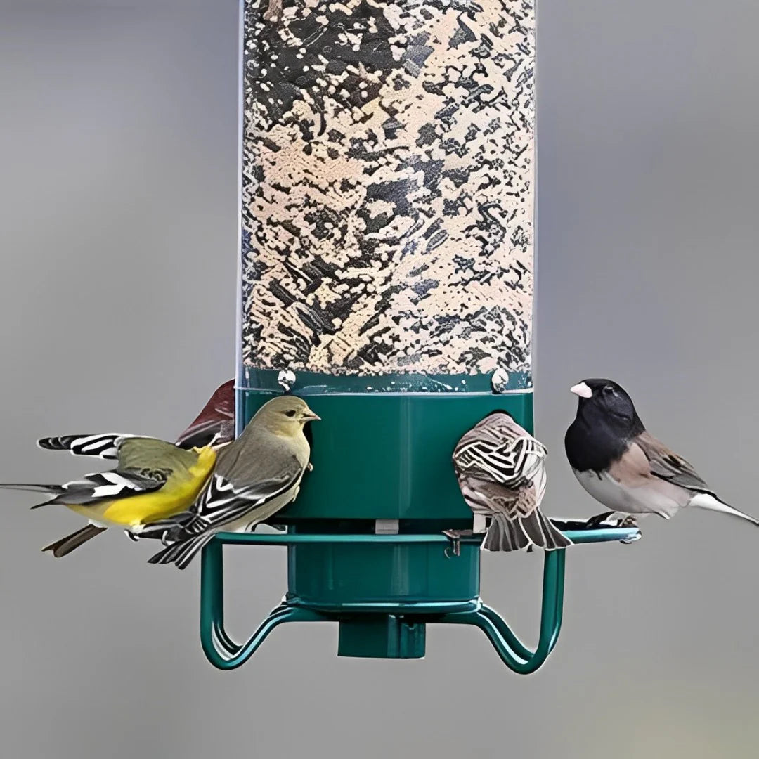 Maliben | Aviron Bird Feeder With Anti-Squirrel Protection | Spin Mechanism | 4 Feeding Openings | 2.27 Kg Capacity