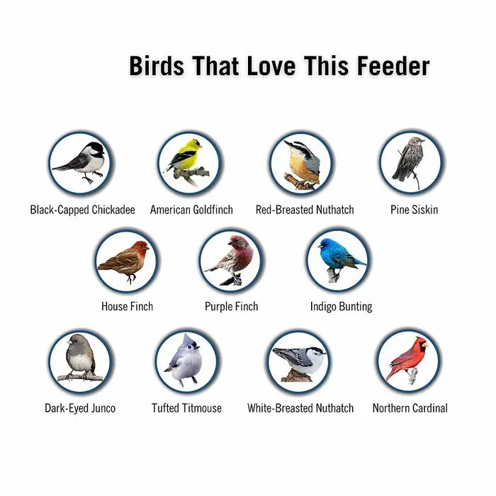 Maliben | Aviron Bird Feeder With Anti-Squirrel Protection | Spin Mechanism | 4 Feeding Openings | 2.27 Kg Capacity