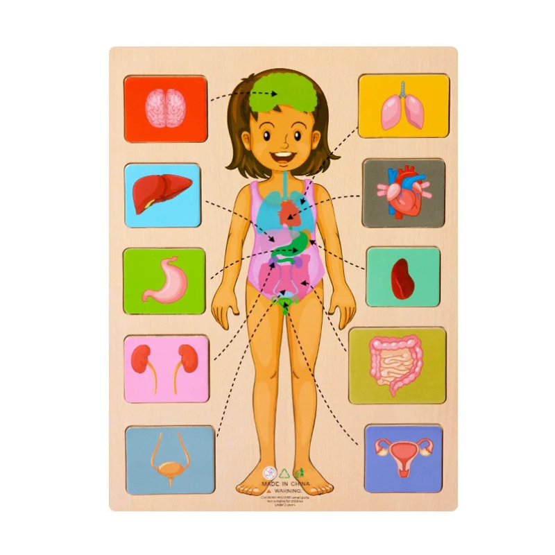 Maliben | Bodypuzzle