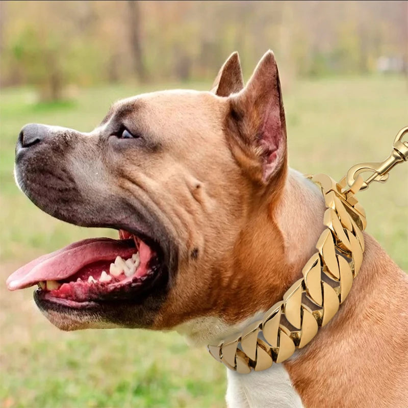 Maliben Strength Neck Metal Dog Collar – Sturdy Stainless Steel Collar for Large Dogs