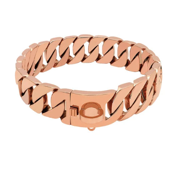 Maliben Strength Neck Metal Dog Collar – Sturdy Stainless Steel Collar for Large Dogs
