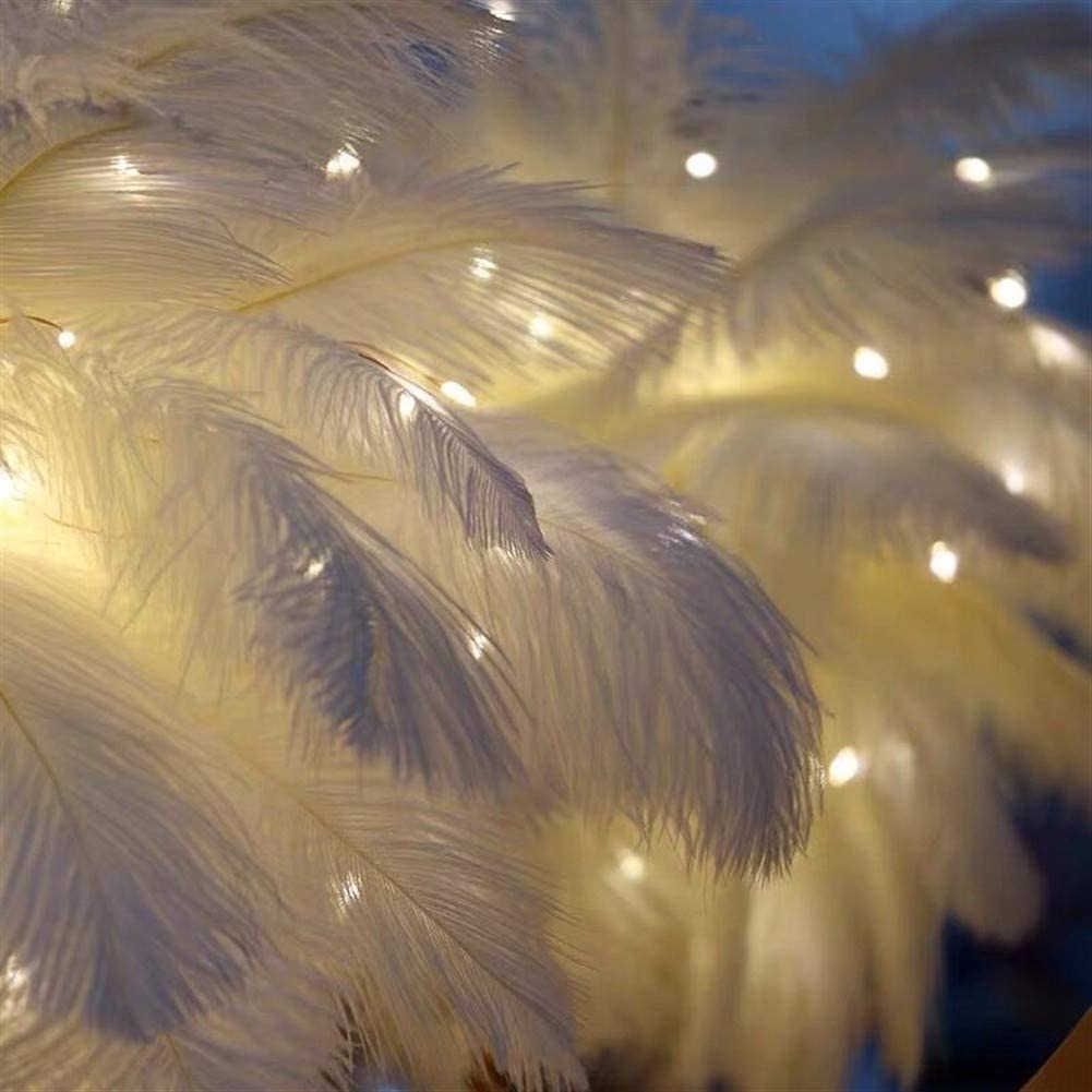 Maliben | Ostrich Night Lamp | Eccentric Lamp With Feathers & Rose Gold Base