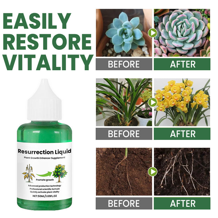 Maliben | Plantrevive | Give Life Back To Your Plants