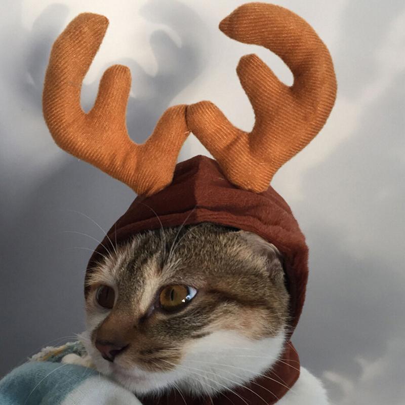 Maliben | Festivapaws – Warm Festive Pet Outfits That Attract Attention